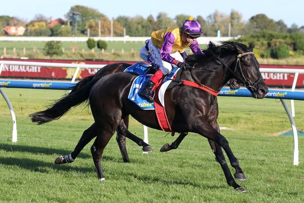 Surprise city win for Rhinoceros