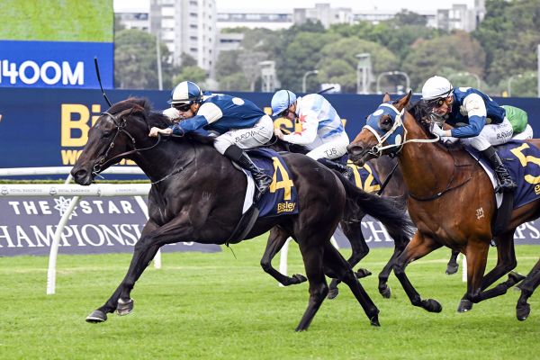 Sergeant Major strikes winning blow at Randwick