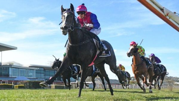 Foxton filly flies on debut