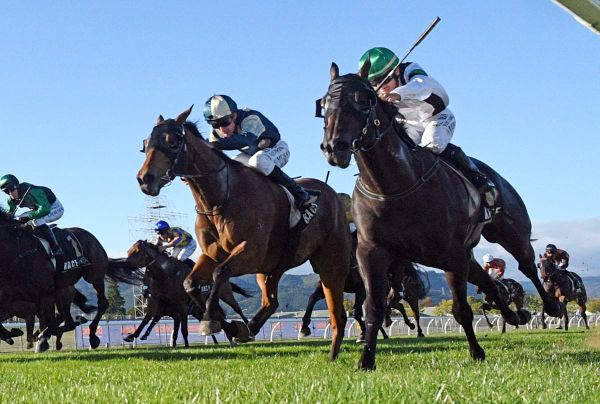 Sprint feature caps Slipper Island’s breakthrough campaign