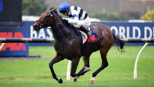 Sterling Express shines with impressive victory at Ellerslie