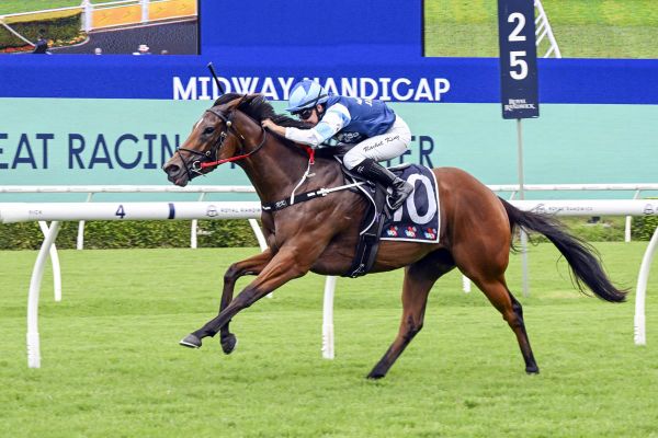 Sunrise romps at Randwick