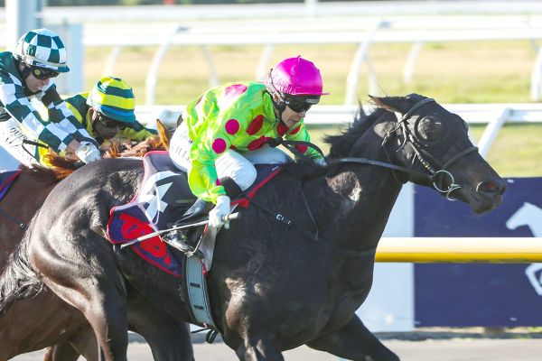 Third Decree shines in Southern Alps Challenge