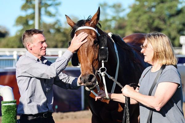 Tikki too speedy in Riccarton dash