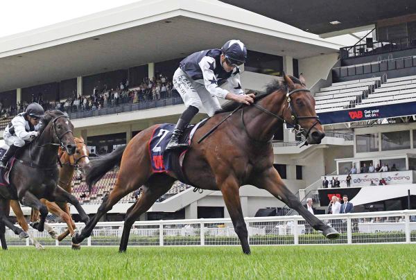 Trainer on the Move Holds Strong Hand for Ellerslie