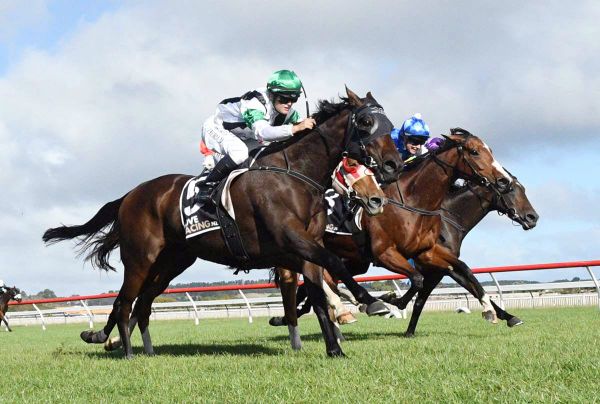 Val Di Zoldo back to rectify Travis Stakes result