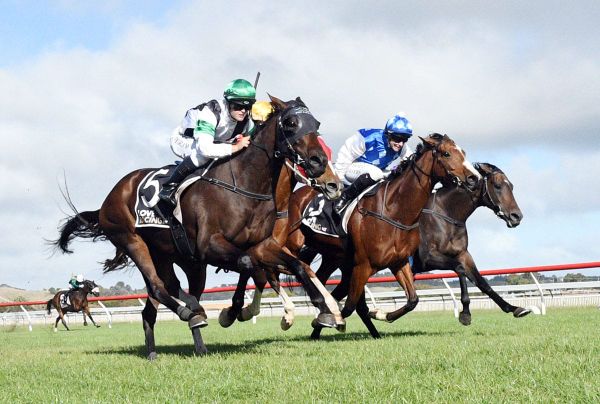 Val Di Zoldo takes Breeders’ Stakes in desperate finish