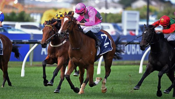 Talented two-year-old following suit with Wynyard