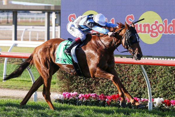 Maher lands hometown Cup victory