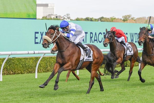 Super Seth 3YO impresses in Sydney