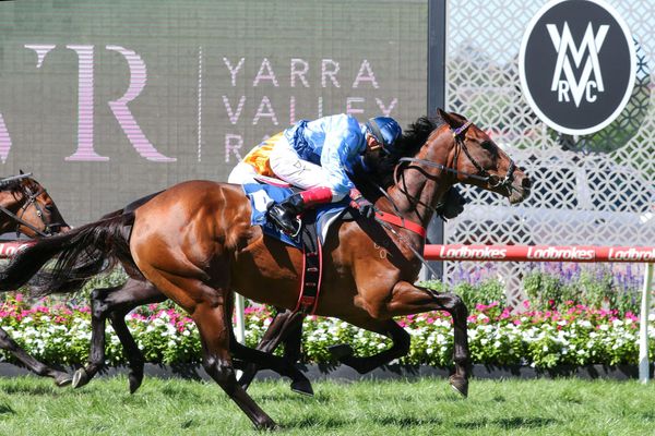 Spell for Basilinna ahead of Cup tilt