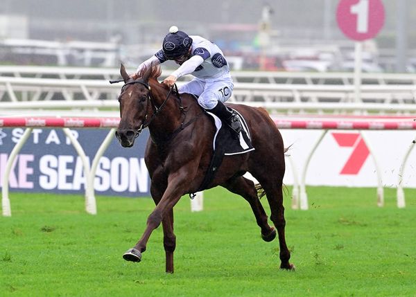 Campaldino hits new heights in Queen Elizabeth II Cup