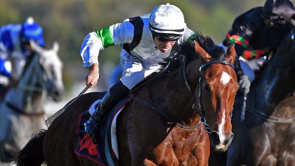 Te Rapa consolation for Cannon Hill