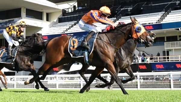 Grylls guides promising filly to Ellerslie victory