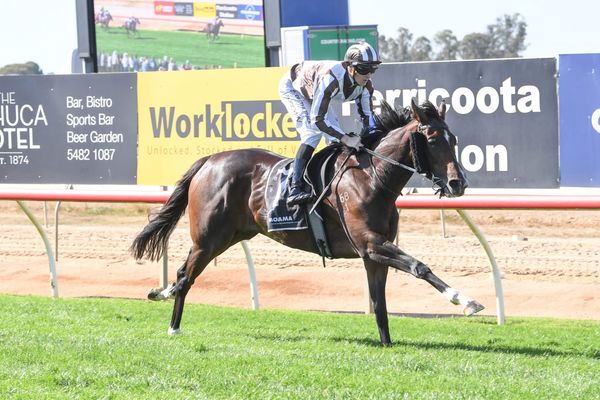 Lindsay Park's Derby Dream