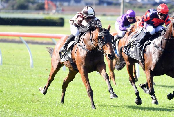 Country Salon too smart at Trentham