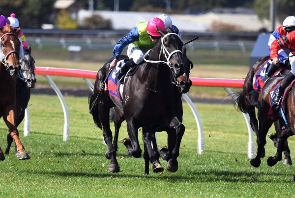 Campbell keeps it cautious with Croupier this weekend.