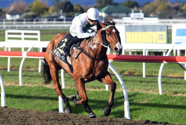 Poly specialist never in doubt at Awapuni