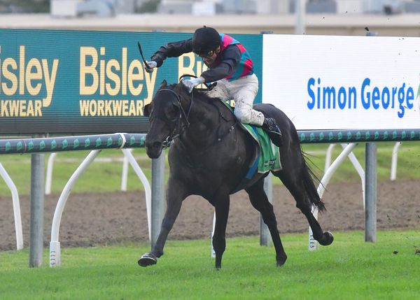 Stirring Hollindale victory for Antino