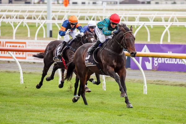 Harlech Returns in Top Form