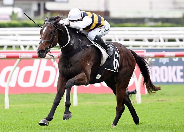 Hezashocka gunning for second Gosford Gold Cup