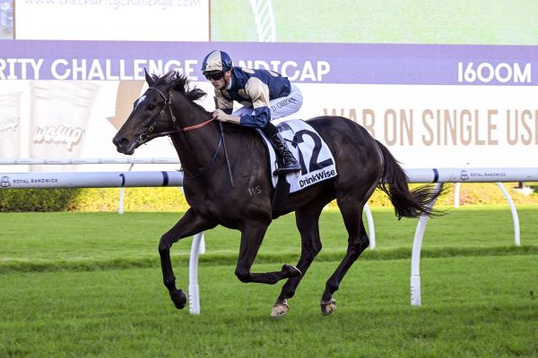 Little Dance target for Hollywood Hero