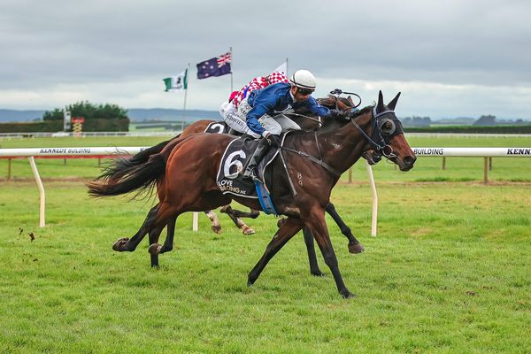 Southern Trio Ready to Shine at Trentham