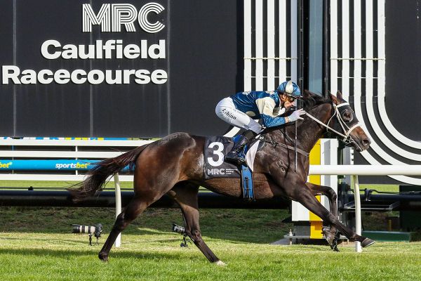 Immediacy goes back-to-back