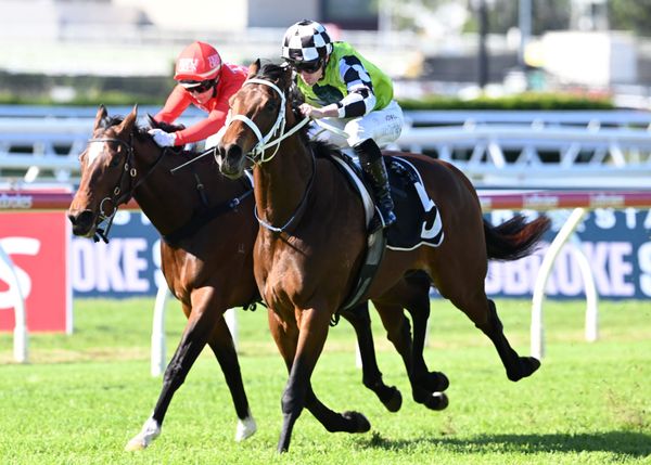 Second Derby shot beckons for Imperialist