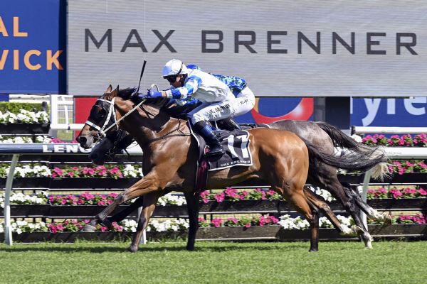 Kadavar poised to lay spring marker at Rosehill