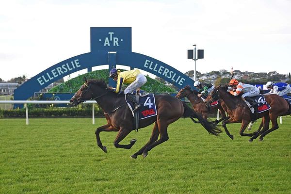 The comeback King reigns in Ellerslie staying contest