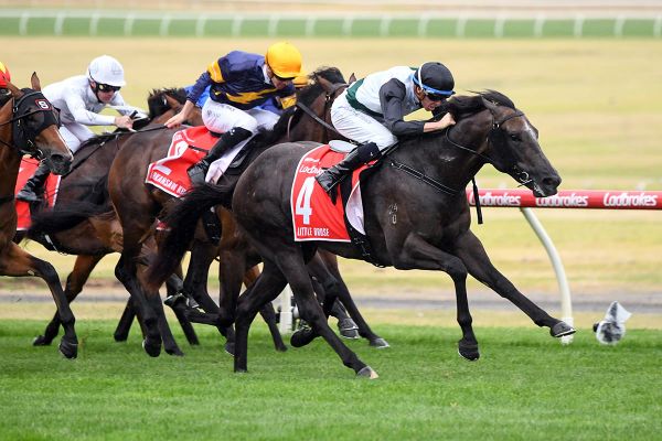 Little Avondale to unveil Little Brose at open day