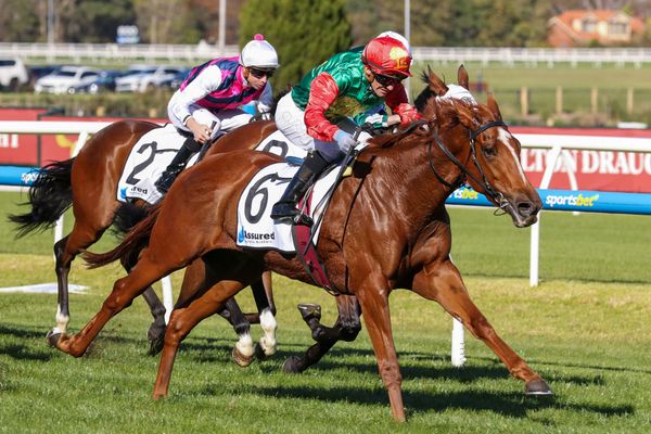 Queensland calling for progressive Madiyya