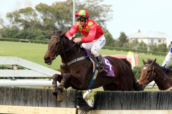 Gillies gearing up for riding return at Wanganui