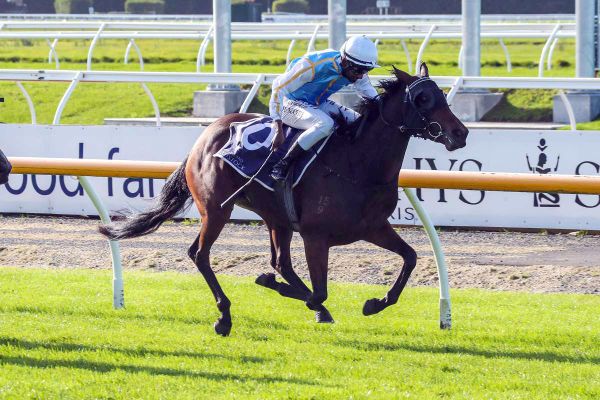 Dennis Chasing Career Century Milestone