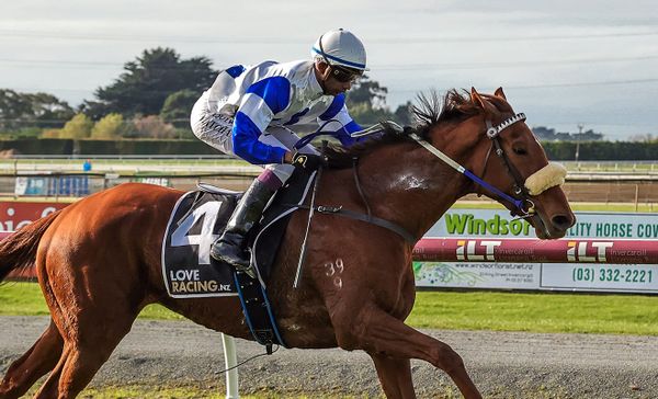 A Mandarin thriving in southern sojourn