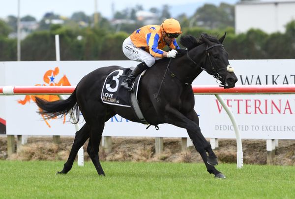Move To Strike retired to stud in Victoria