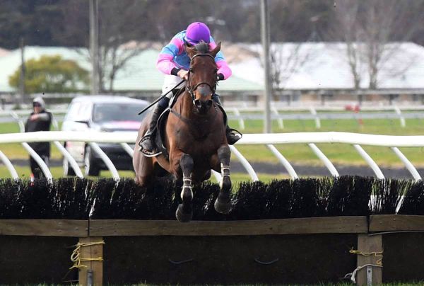 New test ahead for top hurdler
