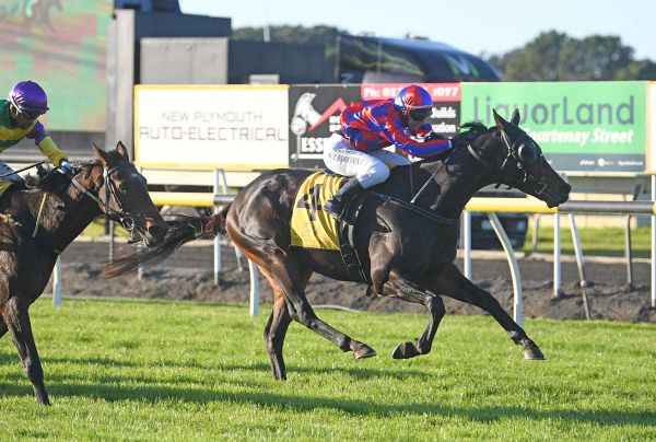 Haworth Pair Ready For Trentham