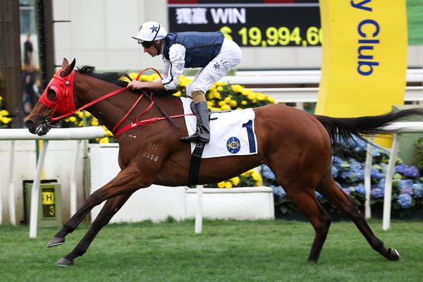 Hugh Bowman excited to reunite with rising star Fast Network