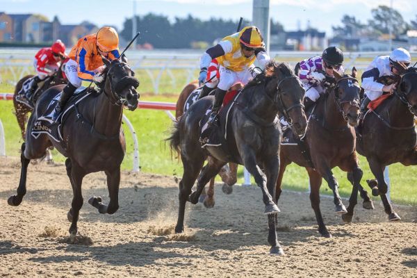 NZ Cup Week plans for Pogacar