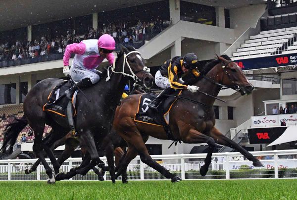 Former Hong Kong galloper seeking breakthrough win