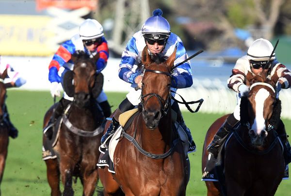 Cole and Grylls steal the show at Wanganui