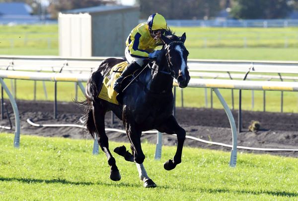 Ribkraka delivers winning Wexford double