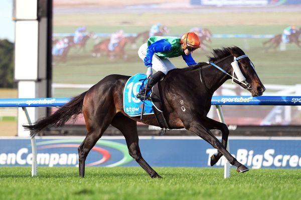 Roadcone helps Moody-Coleman to treble