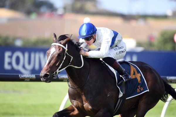 Cambridge barn chasing stakes success on all fronts