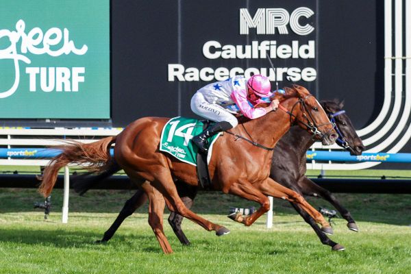 Brown's Derby duo ready to go