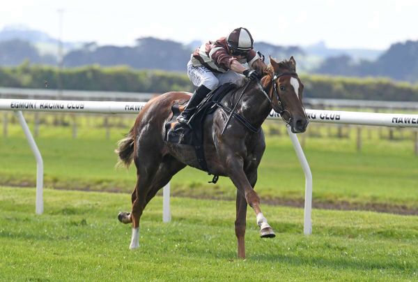 Gavelhouse the gift that keeps on giving for Sharrock