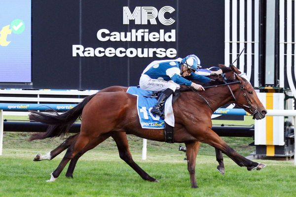 Sunshineinmypocket snatches last-stride victory