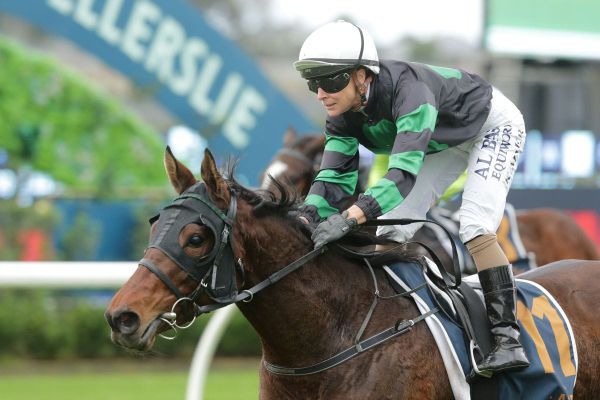 Southern formula succeeds again with Super Fly